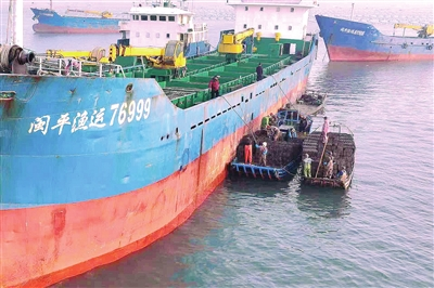 首批鮑魚(yú)南下“越冬”